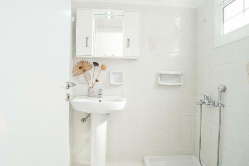 Apartamento Milena Studios