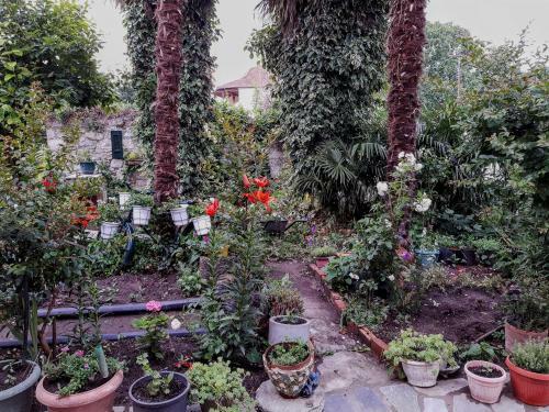 Apartamento Rania's Guest House