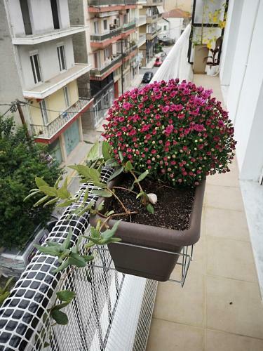 Apartamento Alexandros