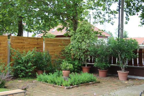 Apartamento Plat�n Vend�gh�z