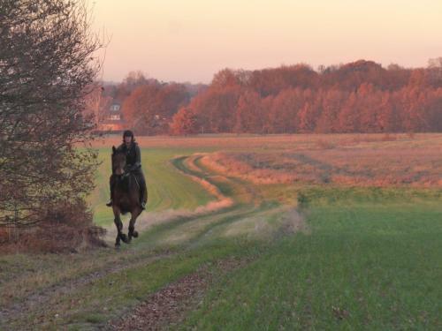 Bed En Breakfast Bergh En Bos