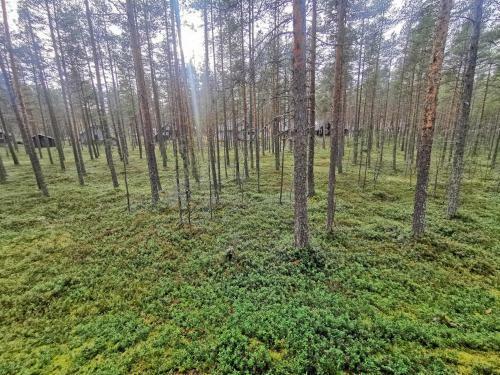Paritalom�kki Omalla Pihalla