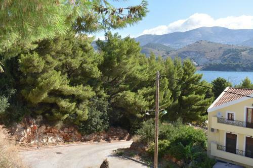 Apartamento The Pine Flat