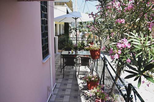Napier Apartment