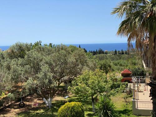 Lemon Tree Apartments A D