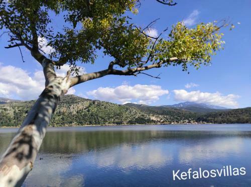 Apartamento Kefalos Studios Argostoli