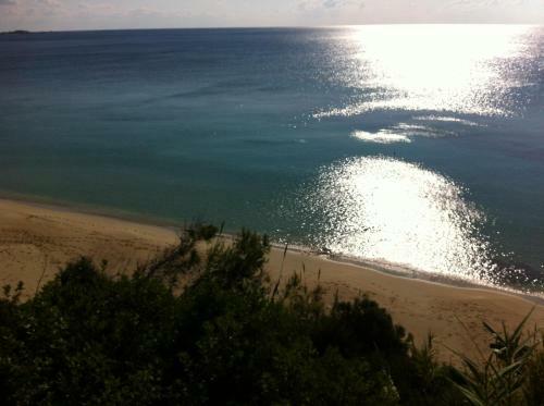 Villaparadiso Beach Front Villa