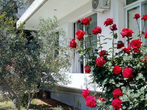 Studio Poseidonia Apartment 100sqm Corinth Canal