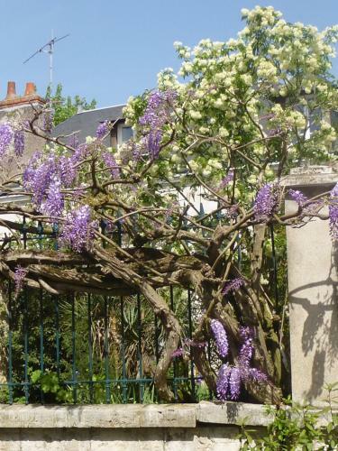 Bed & Breakfast La Petite Vigne