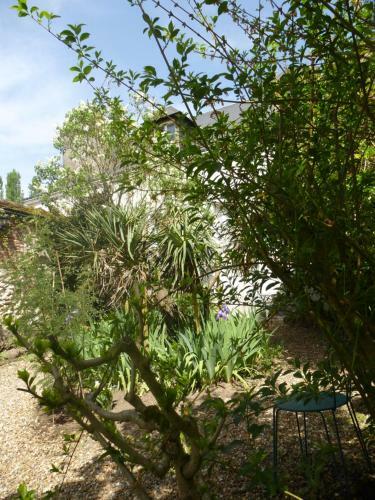 Bed & Breakfast La Petite Vigne