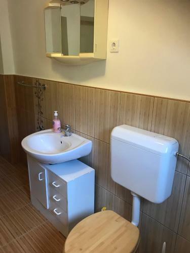 Apartamento T�lgyfa Vend�gh�z