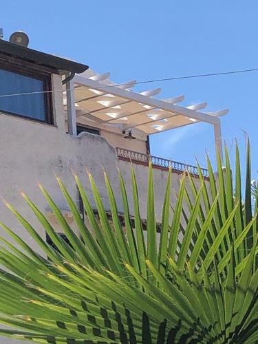 Sunset Roof