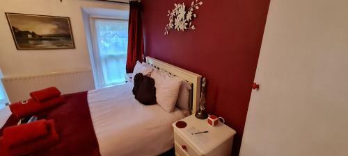 Hostal Holly Cottages