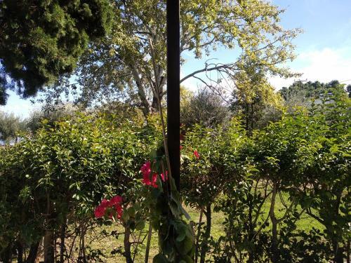 Apartamento Kalypso Relaxing Shelter