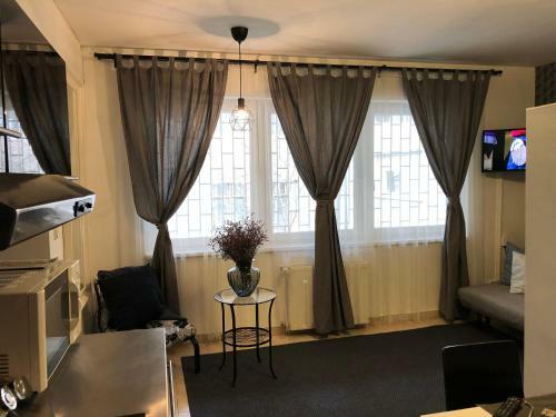 Downtown Luxury Apartment