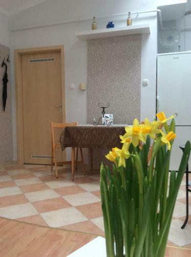 Apartamento Awesome Loc'n -opera Lux On Budget