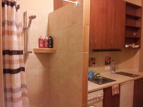 Cute Apartment Close To The Center