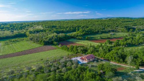 Holiday Home In Buroli - Istrien 41753