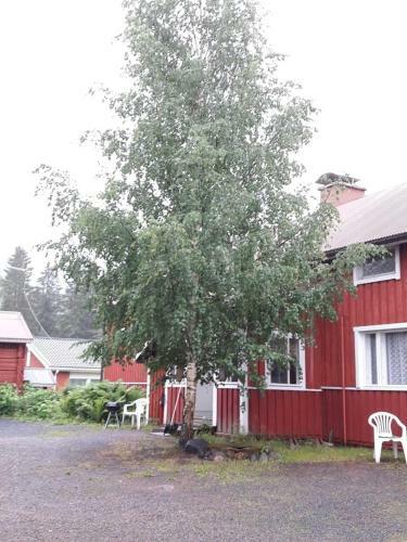 Apartamento Tilava Huoneisto Puutarhan�kym�ll�