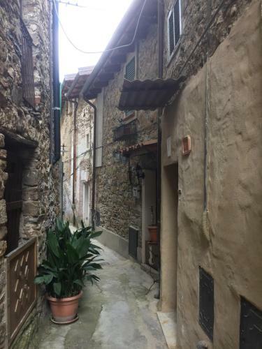 House In The Medieval Village