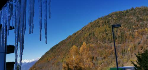 Apartamento Appartamenti Aprica
