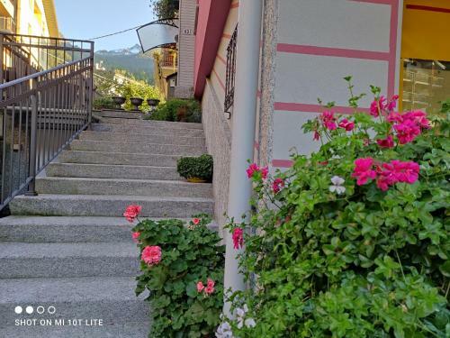 Mountain Apartment - Aprica