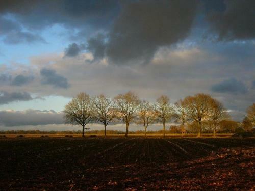 Apartamento Onder de Linde, Rust, Natuur En Privacy