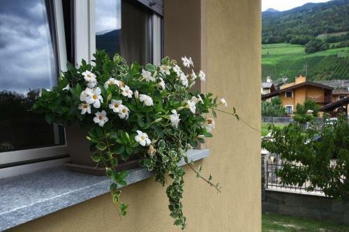 Apartamento Appartment L'envers