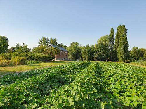 Hostal "au Jardin Sur L'eau" Hortillonnages