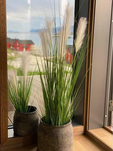 Ny Eksklusiv Hytte I Spektakul�re Lofoten