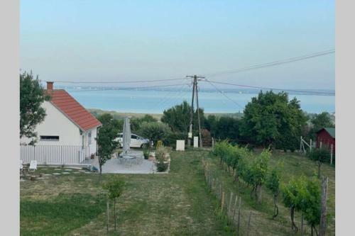Apartamento Panoramic Tranquility On Hill Of Vineyard