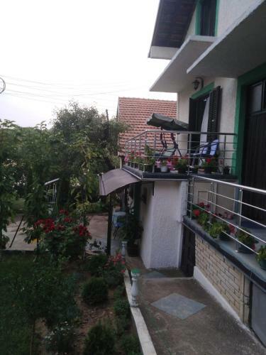 Snezana Home