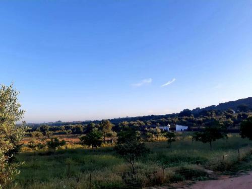 Quinta Da Soneca
