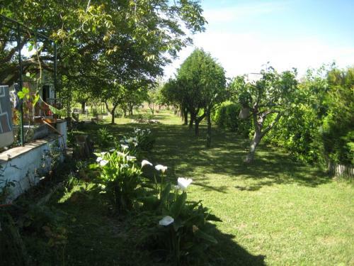 Agroturismo Casa Vacanze Il Noce