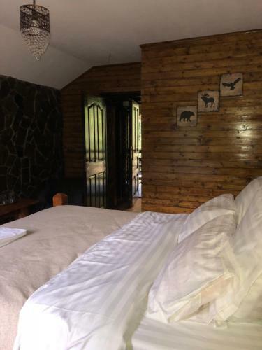 Lodge Cabana Zimbru Transfagarasan