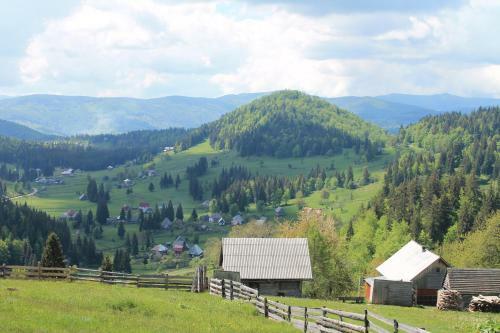 Hostal Arnica Montana