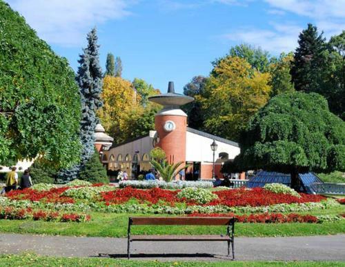Apartman Ramonda Vrnjacka Banja
