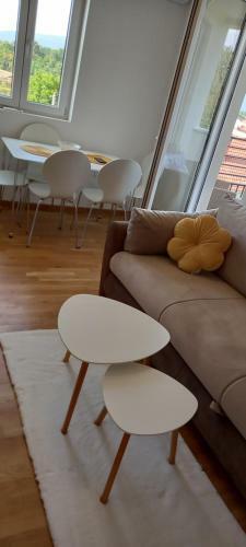 Apartman Ramonda Vrnjacka Banja