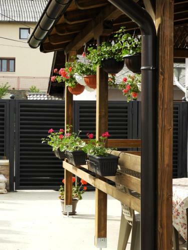 Hostal Hana Apartmani