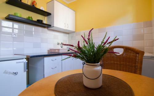 Vrdnik Apartmani Sara