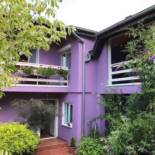 Vrdnik Apartmani Bahus 3