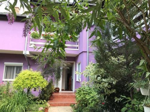 Vrdnik Apartmani Bahus 3