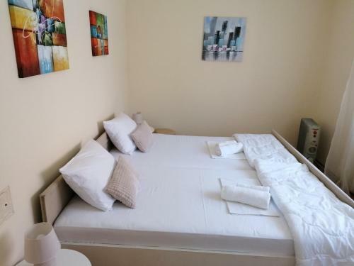 Haus Apartman Zaje?ar M&l