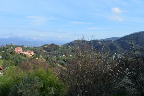 Apartamento Casa Lia