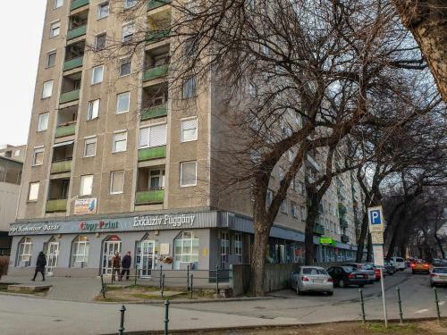 Aweshome City Apartment