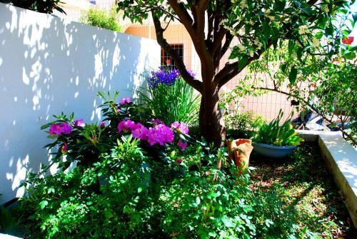 Apartamentos Summer Breeze Cavtat