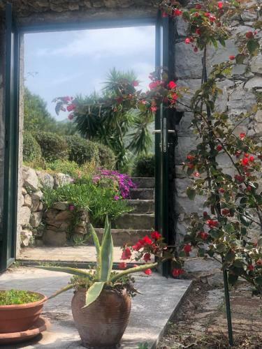 Charming Apartment For 2+2 Pax In Cavtat