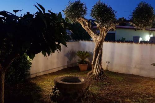 Villa Lella