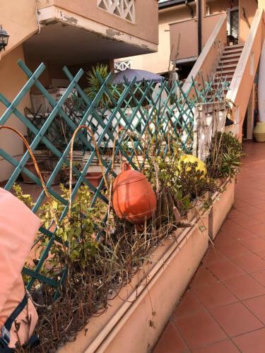 Apartamento House Turi
