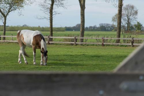 Boeren Biezen Bed Landelijk